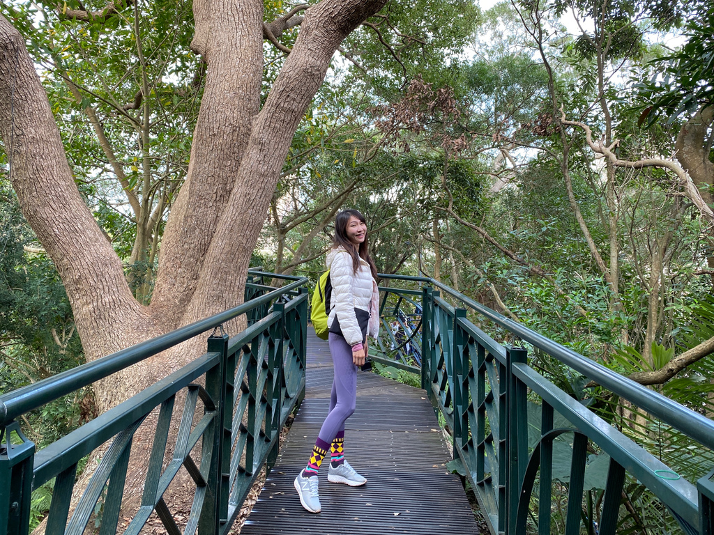 新店登山步道-和美山登山步道,遠看碧潭風景,賞螢火蟲的好地方 新店登山步道-和美山登山步道,遠看碧潭風景,賞螢火蟲的好地方