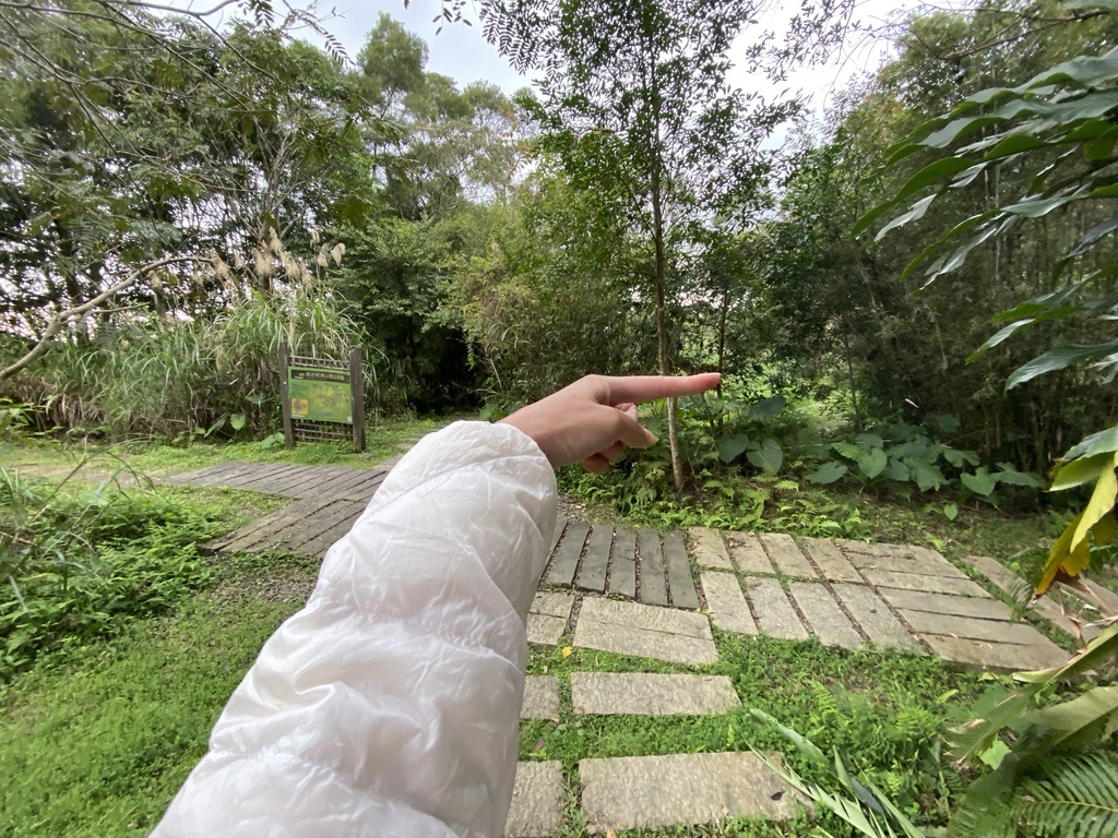 新店登山步道-和美山登山步道,遠看碧潭風景,賞螢火蟲的好地方 新店登山步道-和美山登山步道,遠看碧潭風景,賞螢火蟲的好地方