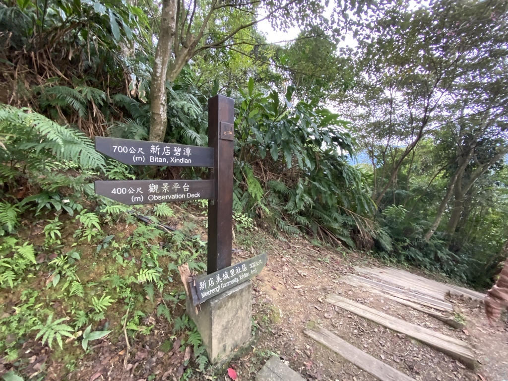 新店登山步道-和美山登山步道,遠看碧潭風景,賞螢火蟲的好地方 新店登山步道-和美山登山步道,遠看碧潭風景,賞螢火蟲的好地方