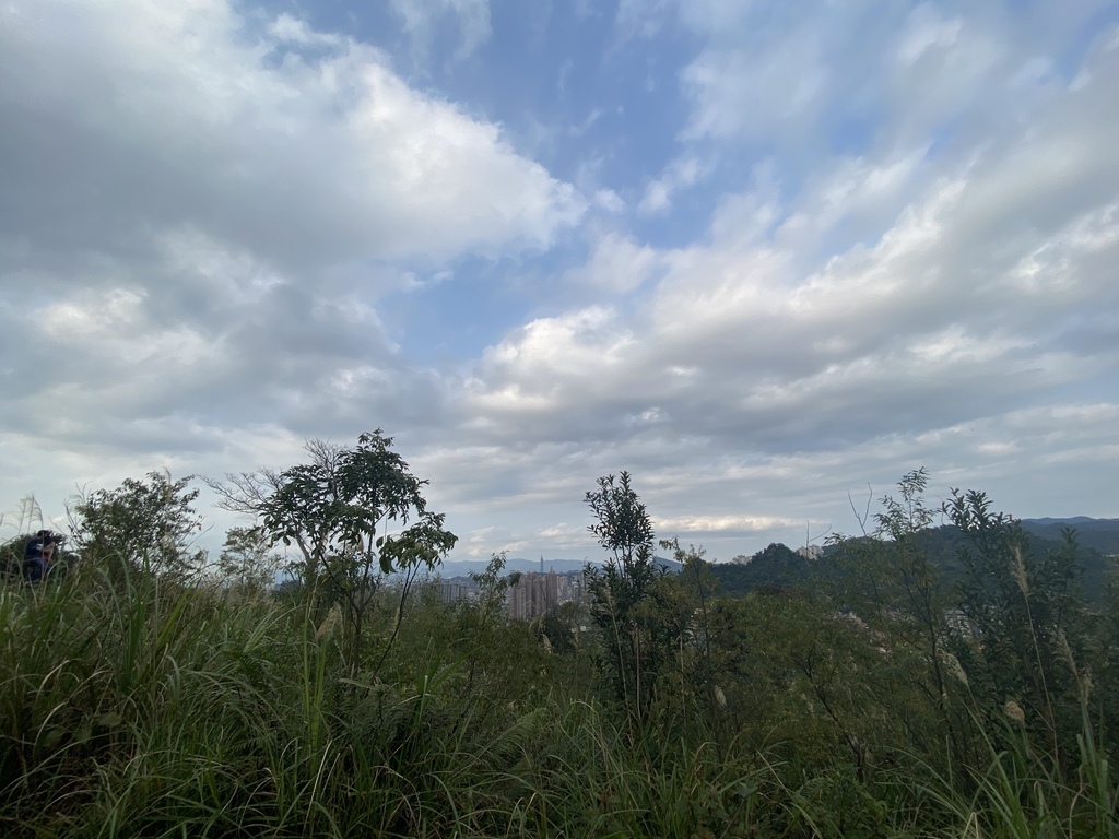 新店登山步道-和美山登山步道,遠看碧潭風景,賞螢火蟲的好地方 新店登山步道-和美山登山步道,遠看碧潭風景,賞螢火蟲的好地方