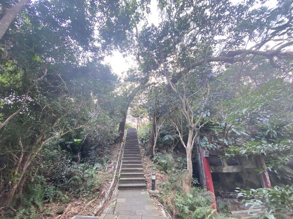 新店登山步道-和美山登山步道,遠看碧潭風景,賞螢火蟲的好地方 新店登山步道-和美山登山步道,遠看碧潭風景,賞螢火蟲的好地方