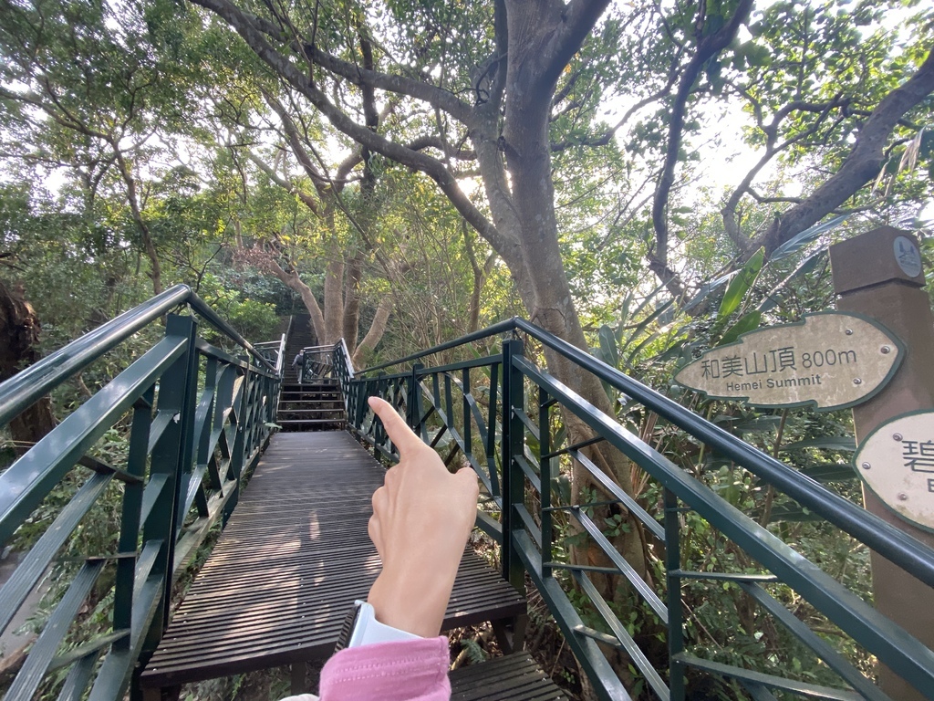 新店登山步道-和美山登山步道,遠看碧潭風景,賞螢火蟲的好地方 新店登山步道-和美山登山步道,遠看碧潭風景,賞螢火蟲的好地方