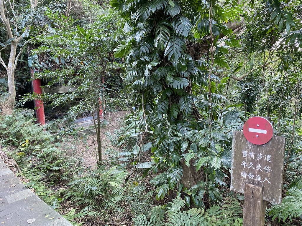 新店登山步道-和美山登山步道,遠看碧潭風景,賞螢火蟲的好地方 新店登山步道-和美山登山步道,遠看碧潭風景,賞螢火蟲的好地方