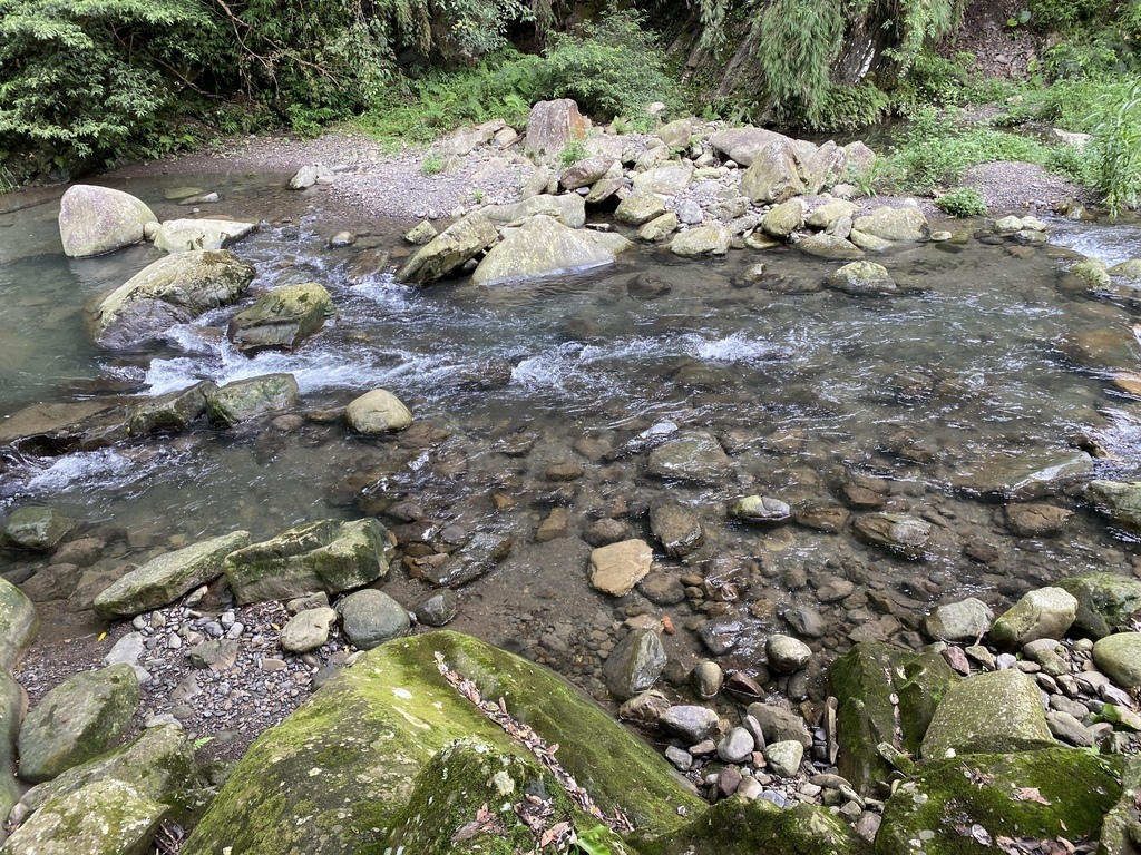 與世隔絕的桃園瀑布景點-鐵木瀑布(優霞雲瀑布)隱藏在森林的瀑布秘境