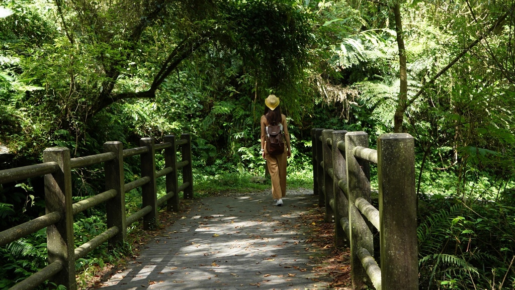 宜蘭大同景點-松羅國家步道，走進滿滿芬多精的綠色世界