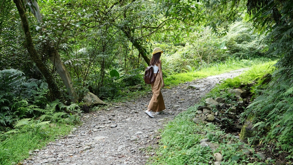 宜蘭大同景點-松羅國家步道，走進滿滿芬多精的綠色世界