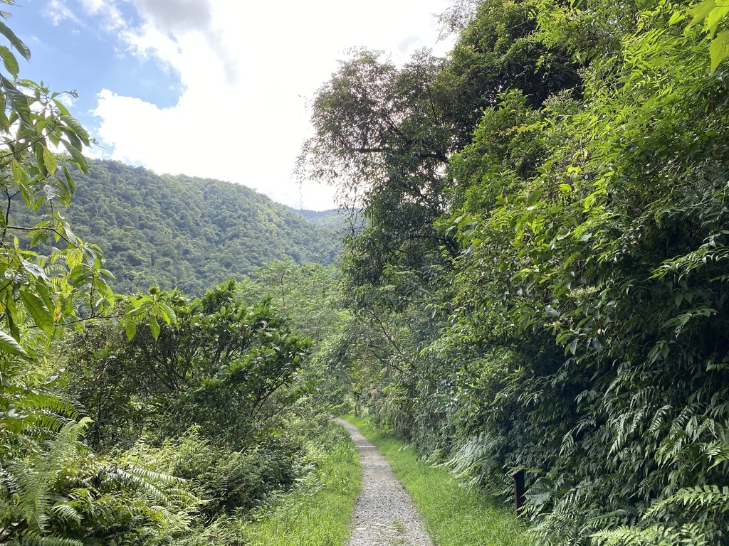 宜蘭大同景點-松羅國家步道，走進滿滿芬多精的綠色世界