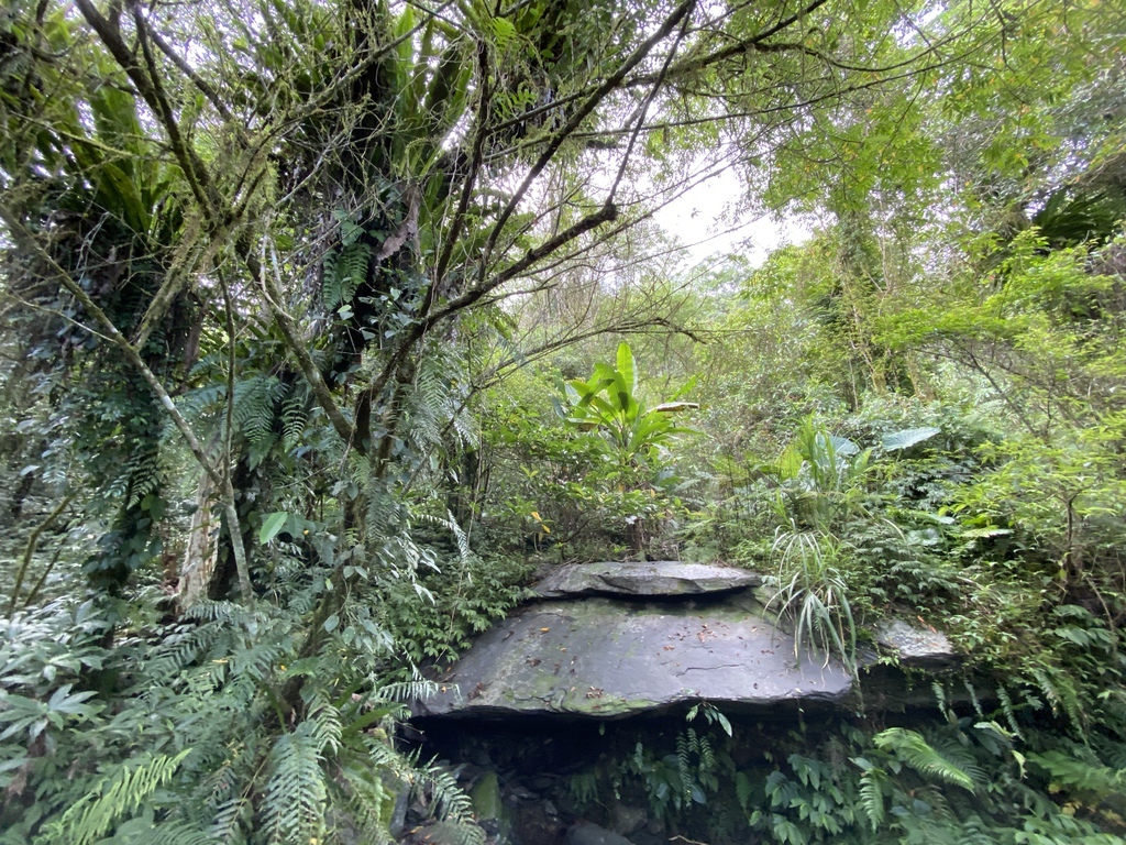 宜蘭大同景點-松羅國家步道，走進滿滿芬多精的綠色世界