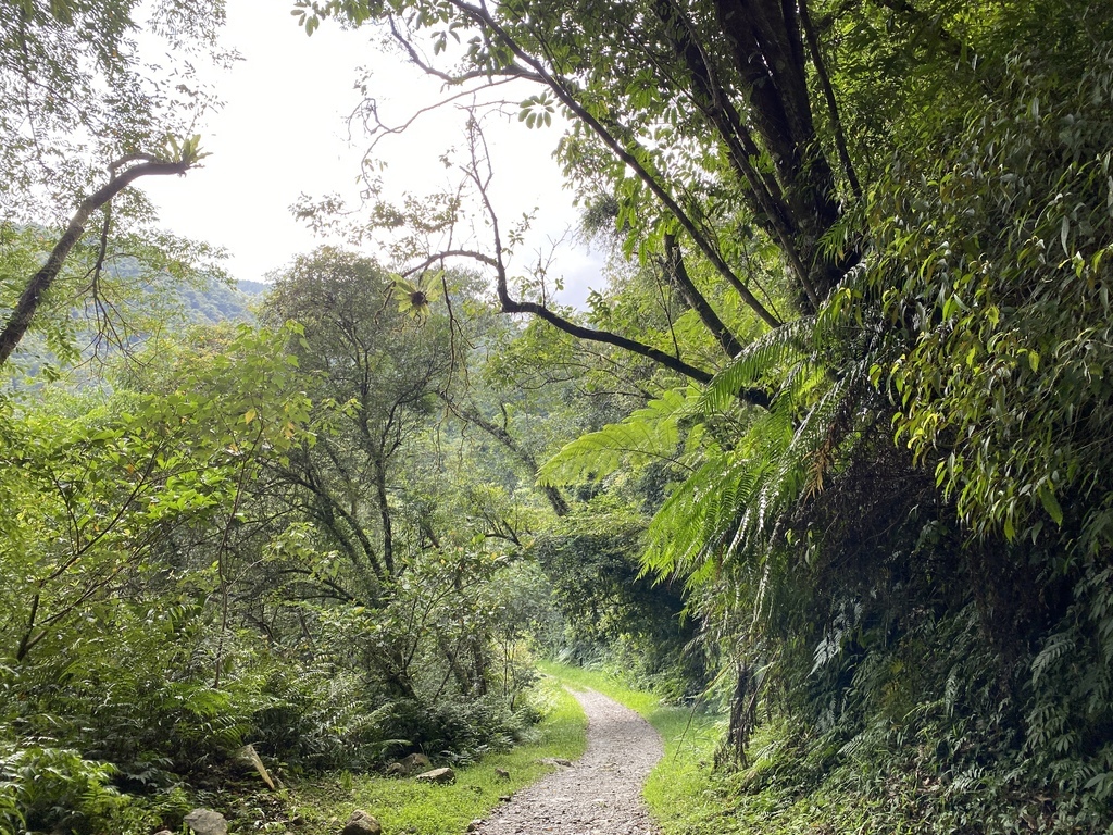 宜蘭大同景點-松羅國家步道，走進滿滿芬多精的綠色世界