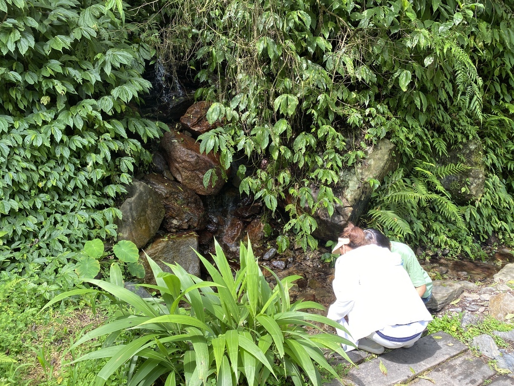 宜蘭大同景點-松羅國家步道，走進滿滿芬多精的綠色世界