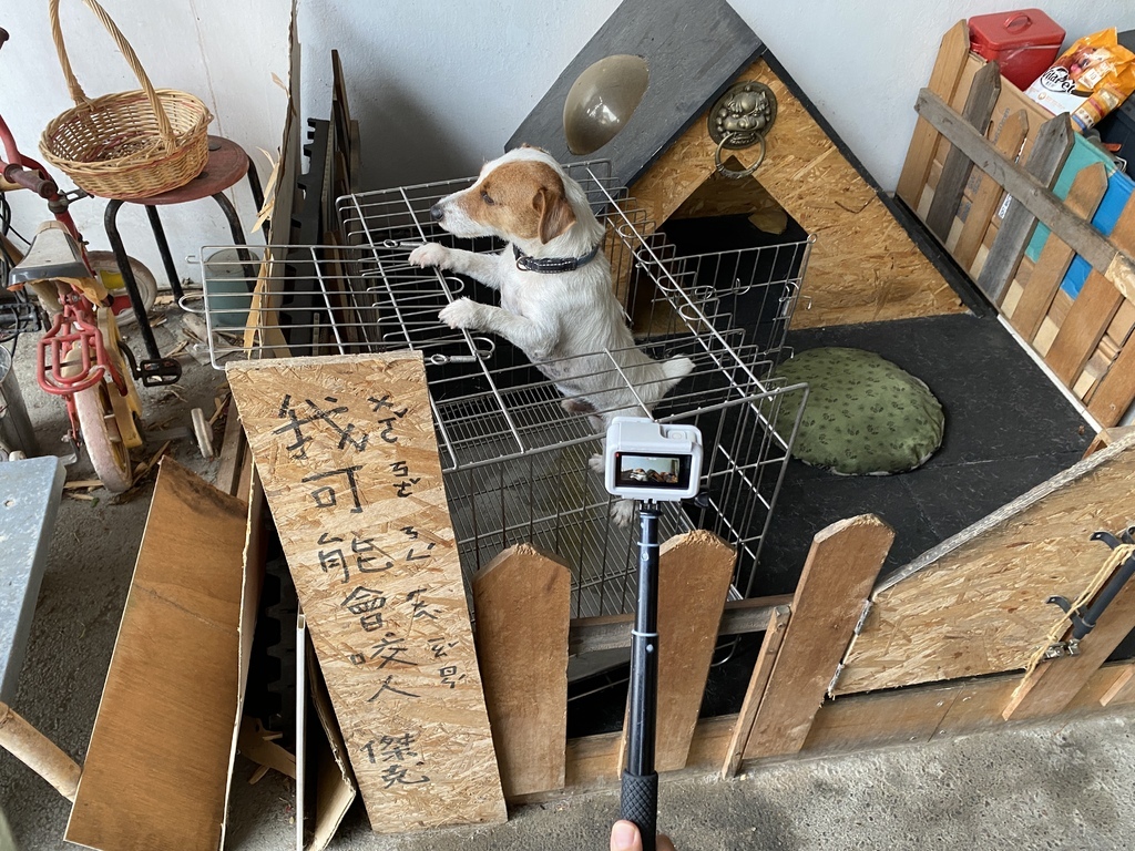 三峽景點-隱藏在宮廟的貨櫃屋咖啡廳-Ninesky九天!在宮廟吃下午茶! 三峽景點-隱藏在宮廟的貨櫃屋咖啡廳-Ninesky九天!在宮廟吃下午茶!