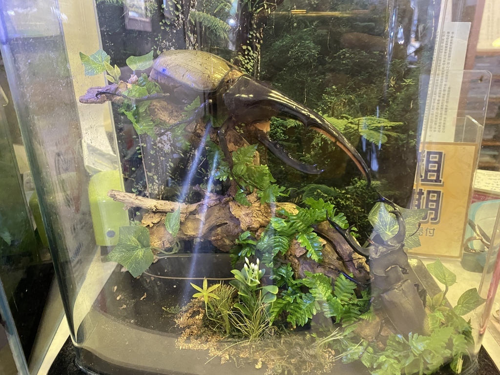 新店牙醫診所推薦-得恩牙醫!口耳相傳的優質新北牙醫診所 新店牙醫診所推薦-得恩牙醫!口耳相傳的優質新北牙醫診所