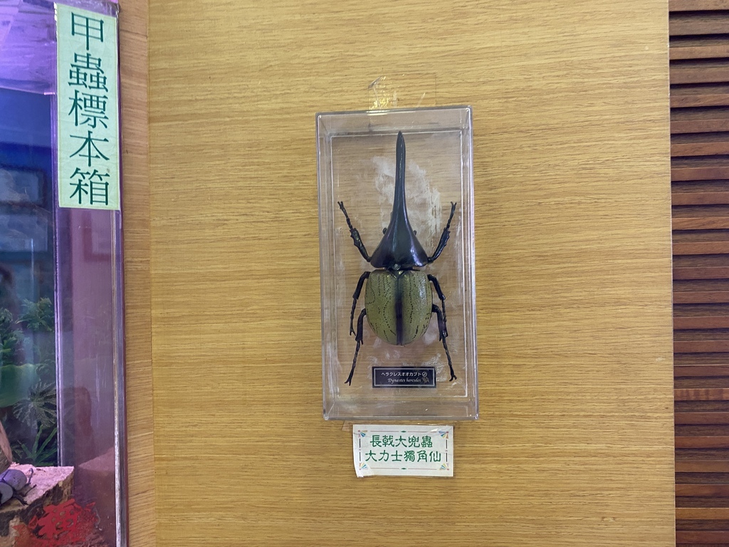 新店牙醫診所推薦-得恩牙醫!口耳相傳的優質新北牙醫診所 新店牙醫診所推薦-得恩牙醫!口耳相傳的優質新北牙醫診所