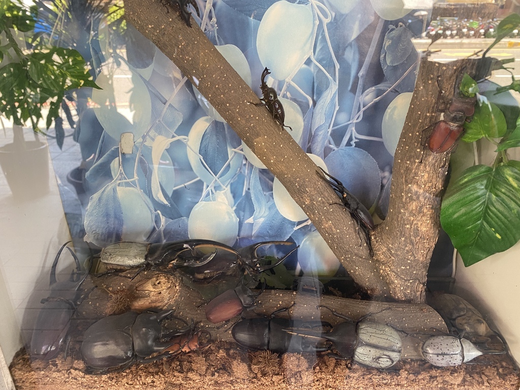 新店牙醫診所推薦-得恩牙醫!口耳相傳的優質新北牙醫診所 新店牙醫診所推薦-得恩牙醫!口耳相傳的優質新北牙醫診所