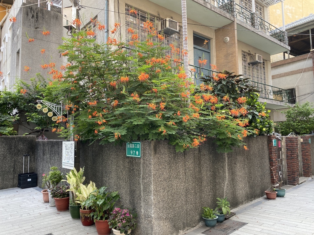 台南中西區景點-蝸牛巷!藏身在巷弄的藝術文青小巷