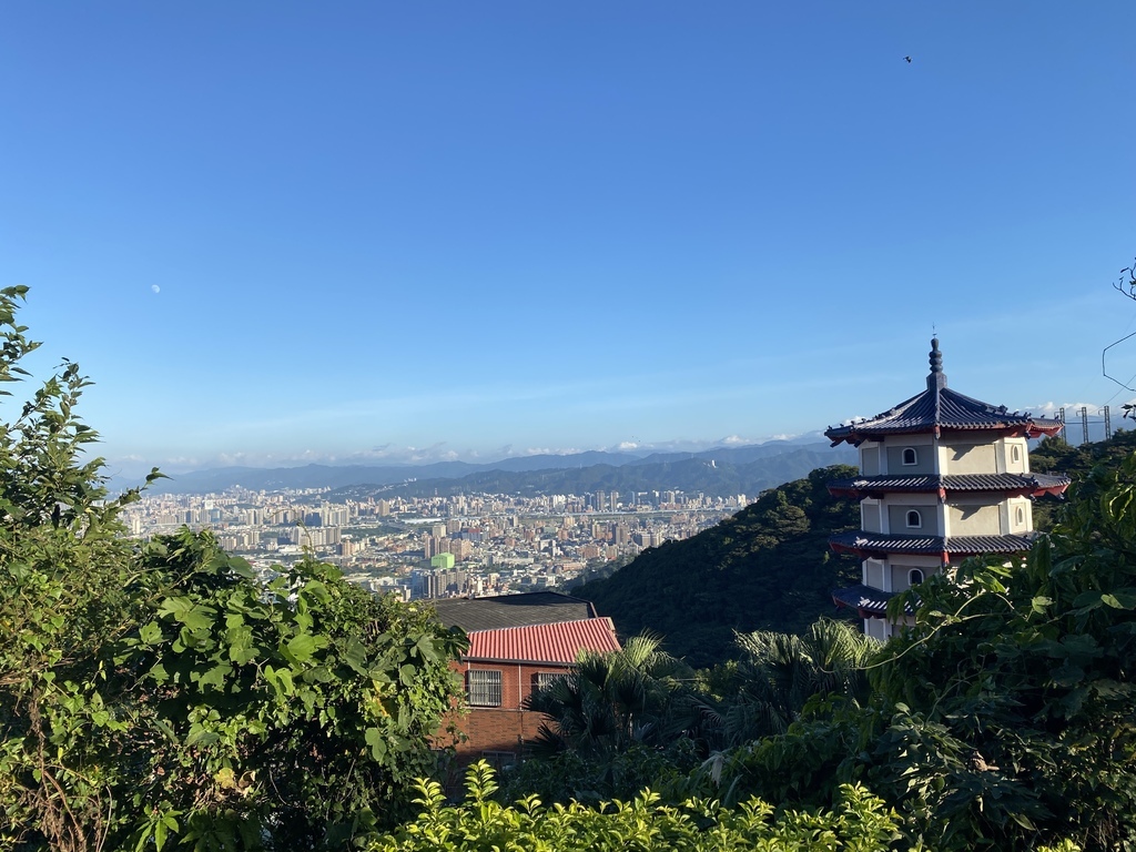 樹林景點-三角埔頂山芒草花季，滿山的芒草花夢幻又浪漫