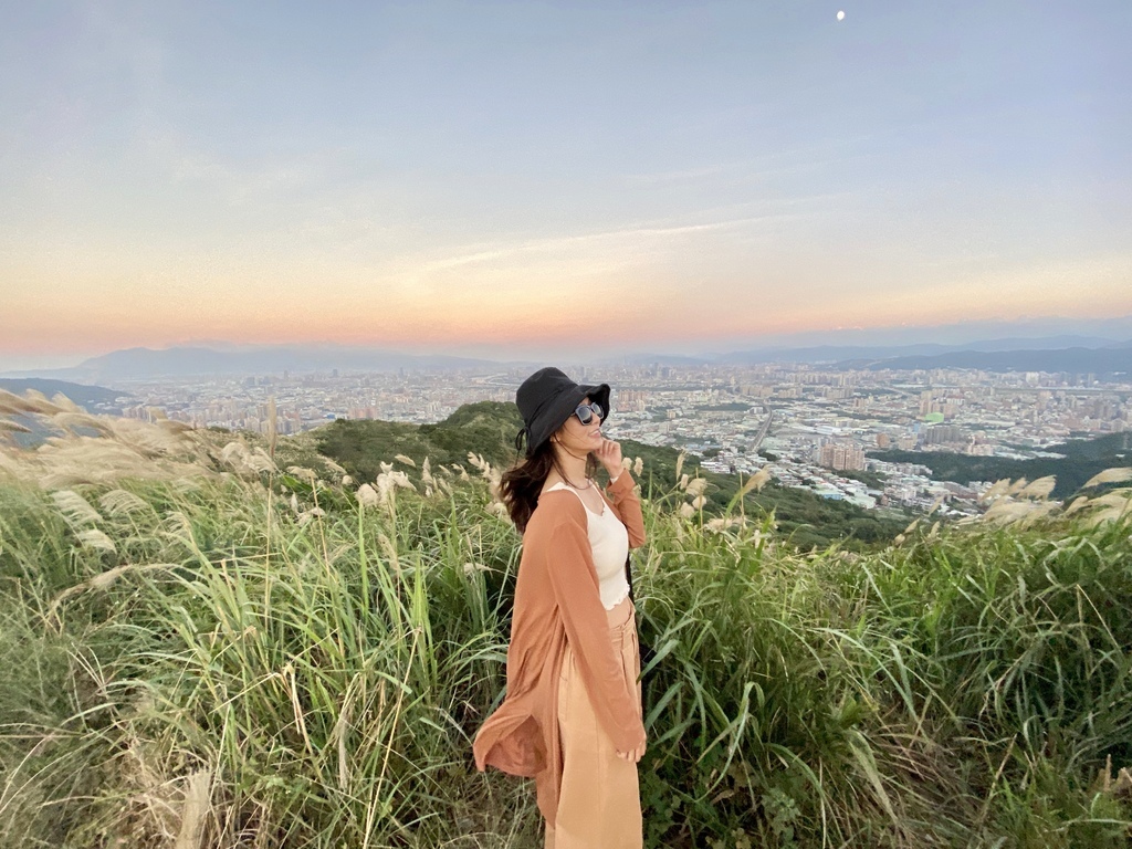 樹林景點-三角埔頂山芒草花季，滿山的芒草花夢幻又浪漫