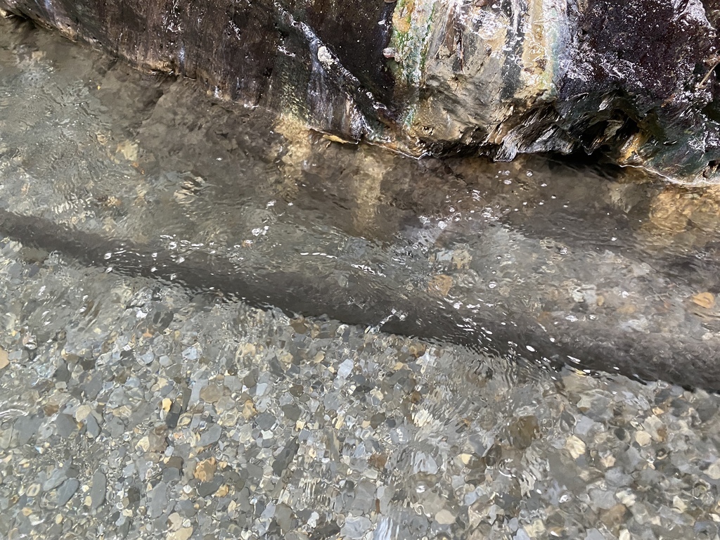南投野溪溫泉-馬海濮野溪溫泉,超美的彩壁峽谷跟岩窟溫泉秘境 南投野溪溫泉-馬海濮野溪溫泉,超美的彩壁峽谷跟岩窟溫泉秘境
