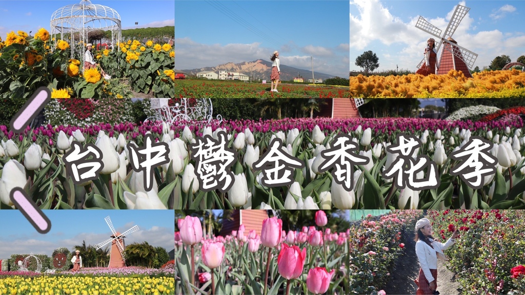 台中后里景點-中社花海的鬱金香花季，一起來繽紛的花季賞花約會