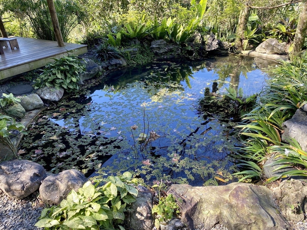 新北石碇蔬食餐廳-文山草堂，給你精緻的無菜單蔬食料理