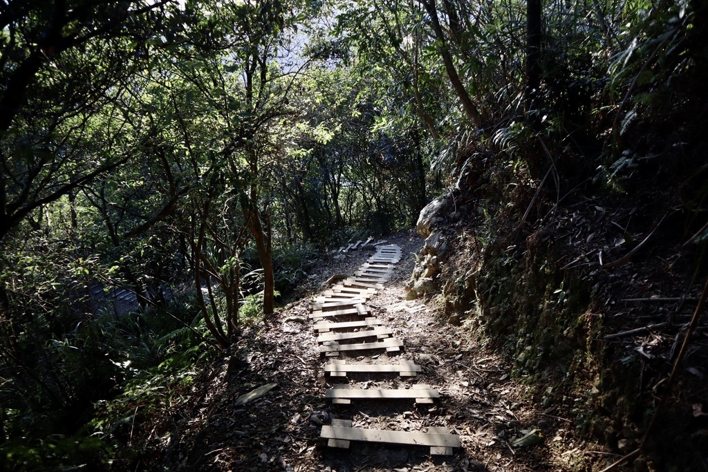 新北石碇景點-鱷魚島觀景平台(小格頭獅頭山)，俯瞰鱷魚島的湖光景色