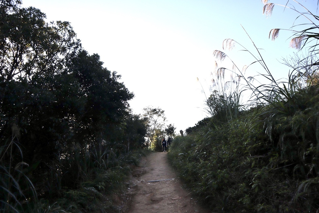 新北石碇景點-鱷魚島觀景平台(小格頭獅頭山)，俯瞰鱷魚島的湖光景色