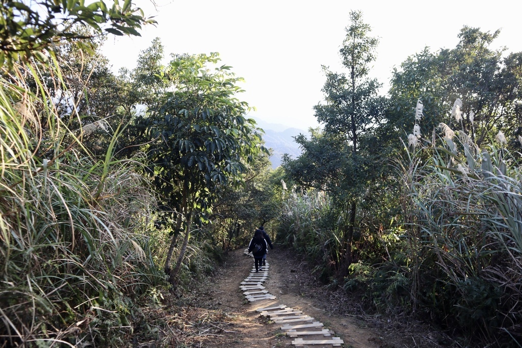 新北石碇景點-鱷魚島觀景平台(小格頭獅頭山)，俯瞰鱷魚島的湖光景色