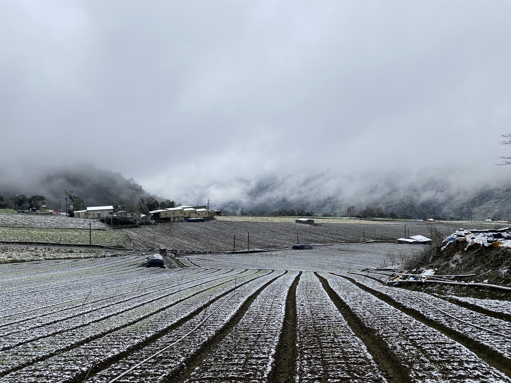 宜蘭大同鄉景點-來台7甲線思源埡口，欣賞被雪包覆的銀白森林