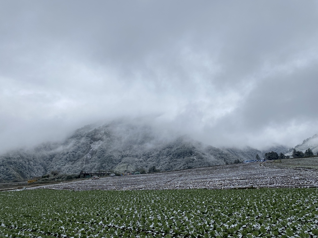 宜蘭大同鄉景點-來台7甲線思源埡口，欣賞被雪包覆的銀白森林