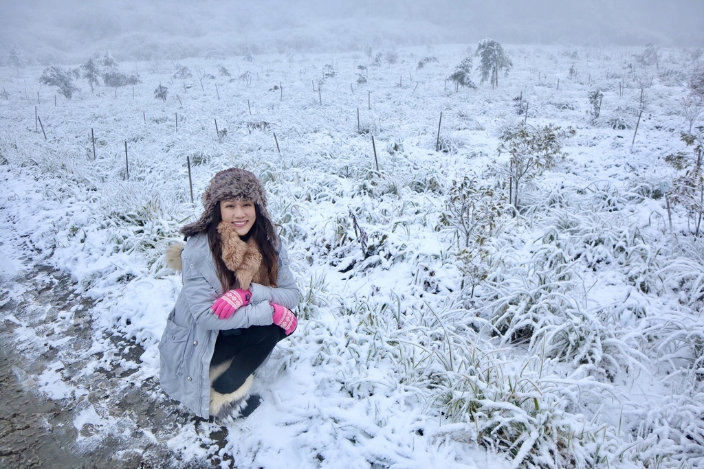 宜蘭大同鄉景點-來台7甲線思源埡口，欣賞被雪包覆的銀白森林