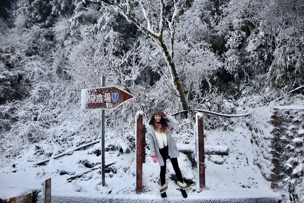 宜蘭大同鄉景點-來台7甲線思源埡口，欣賞被雪包覆的銀白森林