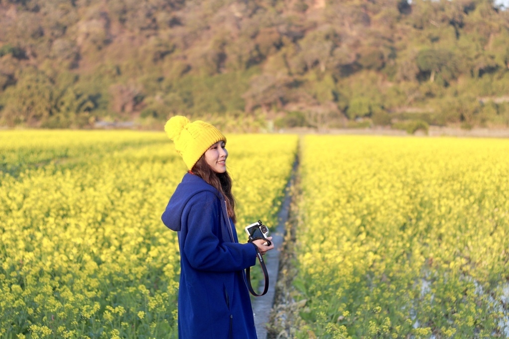 台中外埔忘憂谷的限定美景-油菜花田，台中版的伯朗大道