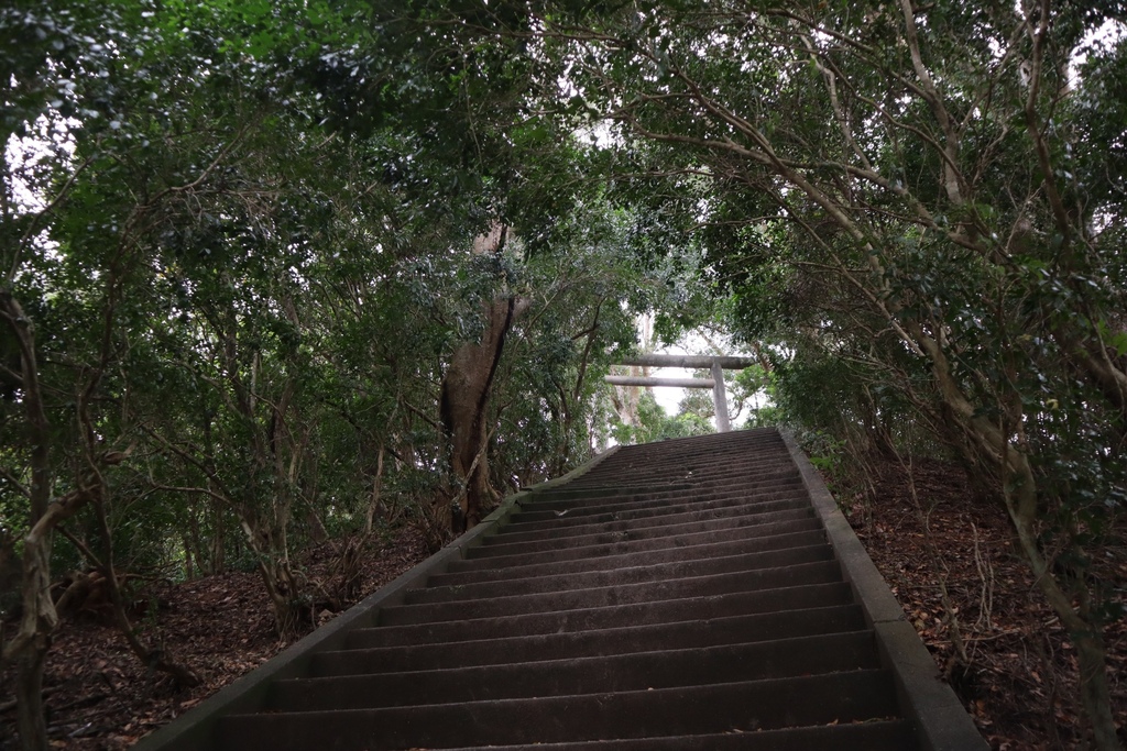 花蓮玉里景點-不用飛日本！來玉里神社遺址看鳥居、石燈籠、參拜道