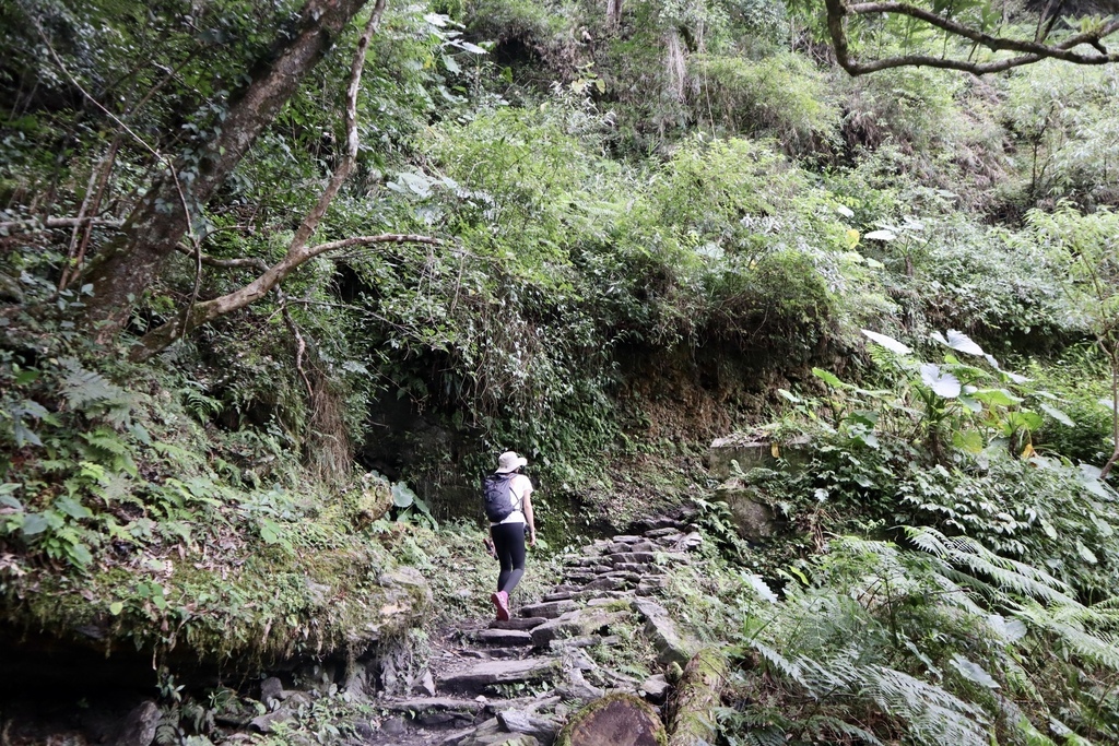 花蓮卓溪鄉景點-瓦拉米步道！走鋼索吊橋、進山林欣賞山風瀑布(布農族佳心部落)