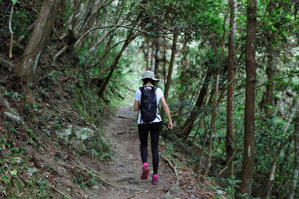 花蓮玉里二日遊怎麼玩?花蓮玉里景點懶人包就讓丁小羽告訴你 花蓮玉里二日遊怎麼玩?花蓮玉里景點懶人包就讓丁小羽告訴你