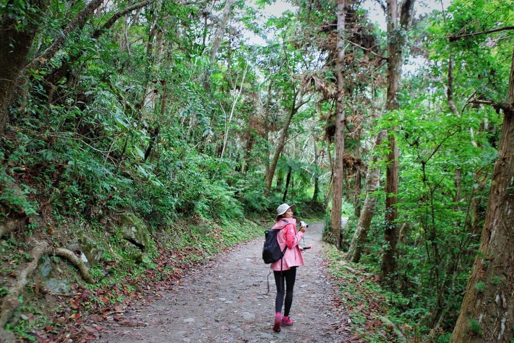 花蓮卓溪景點-走訪八通關古道東段(瓦拉米步道)，觀賞山風瀑布、欣賞山風吊橋