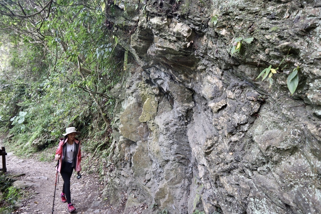 花蓮卓溪鄉景點-瓦拉米步道！走鋼索吊橋、進山林欣賞山風瀑布(布農族佳心部落)