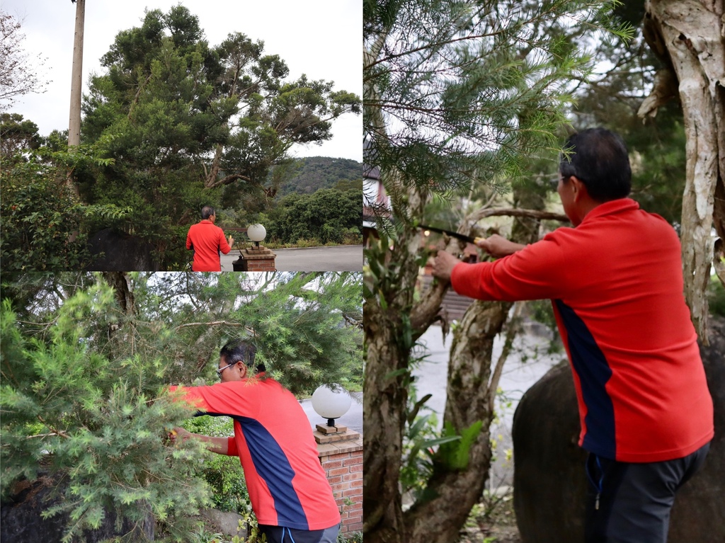 花蓮玉里民宿-丁小羽來紐澳華溫泉山莊，體驗DIY澳洲茶樹精油