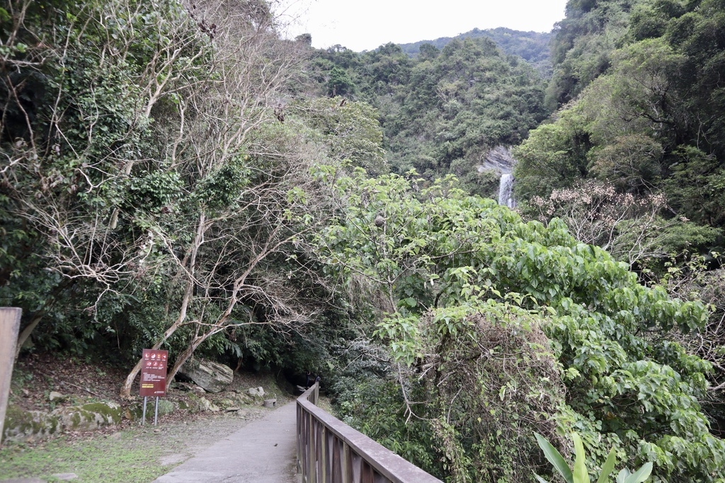 花蓮瀑布景點-瓦拉米步道的南安瀑布，只要走1分鐘就可以到的花蓮景點