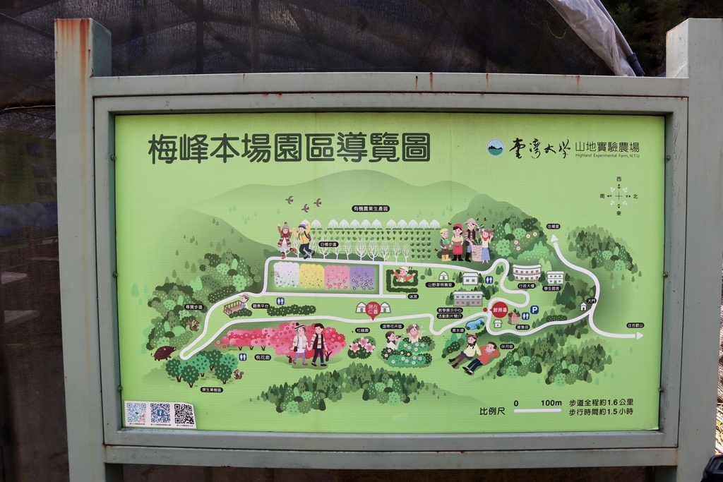 不能錯過的南投仁愛鄉景點-到國立臺灣大學山地實驗農場(台大梅峰農場)欣賞超美桃花廊、採水蜜桃 不能錯過的南投仁愛鄉景點-到國立臺灣大學山地實驗農場(台大梅峰農場)欣賞超美桃花廊、採水蜜桃