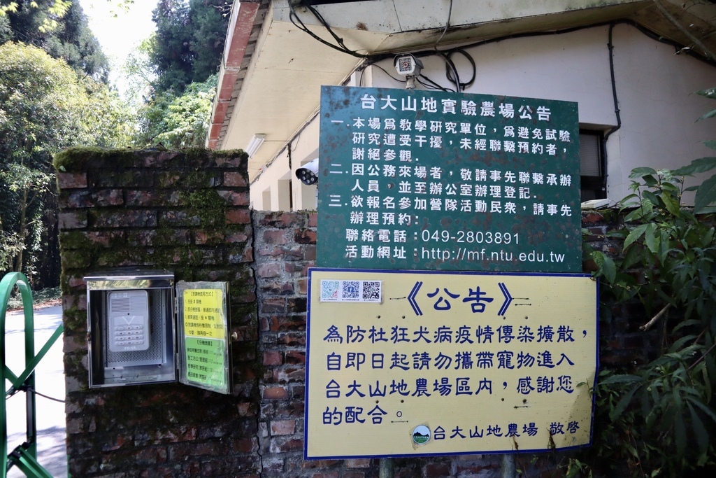 不能錯過的南投仁愛鄉景點-到國立臺灣大學山地實驗農場(台大梅峰農場)欣賞超美桃花廊、採水蜜桃 不能錯過的南投仁愛鄉景點-到國立臺灣大學山地實驗農場(台大梅峰農場)欣賞超美桃花廊、採水蜜桃