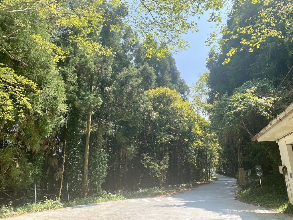 不能錯過的南投仁愛鄉景點-到國立臺灣大學山地實驗農場(台大梅峰農場)欣賞超美桃花廊、採水蜜桃 不能錯過的南投仁愛鄉景點-到國立臺灣大學山地實驗農場(台大梅峰農場)欣賞超美桃花廊、採水蜜桃