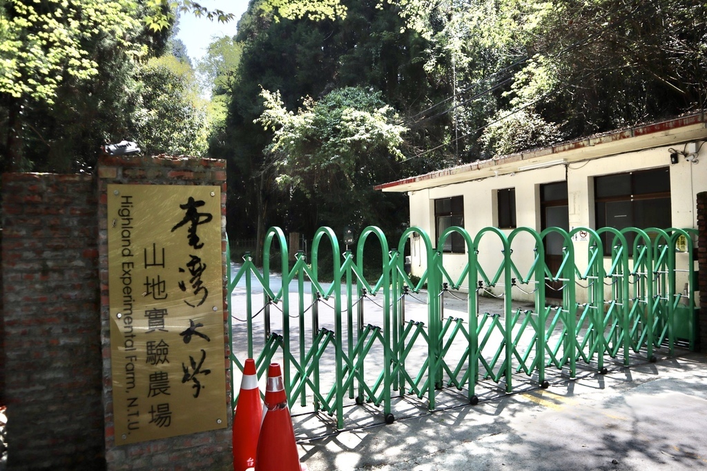 不能錯過的南投仁愛鄉景點-到國立臺灣大學山地實驗農場(台大梅峰農場)欣賞超美桃花廊、採水蜜桃 不能錯過的南投仁愛鄉景點-到國立臺灣大學山地實驗農場(台大梅峰農場)欣賞超美桃花廊、採水蜜桃