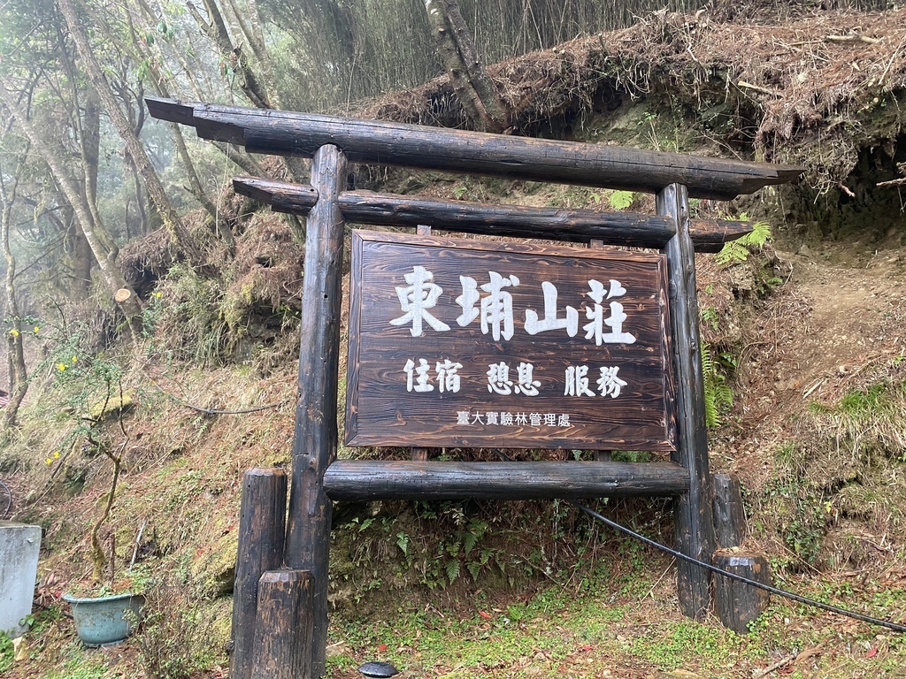 南投信義鄉住宿-讓丁小羽來開箱雲之端東埔山莊，玉山最高的民宿【