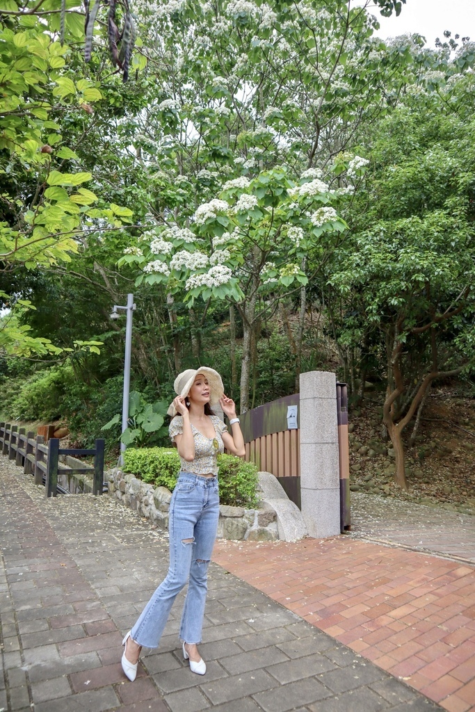 苗栗銅鑼景點-到好客公園欣賞油桐花！來趟白色浪漫的苗栗一日遊