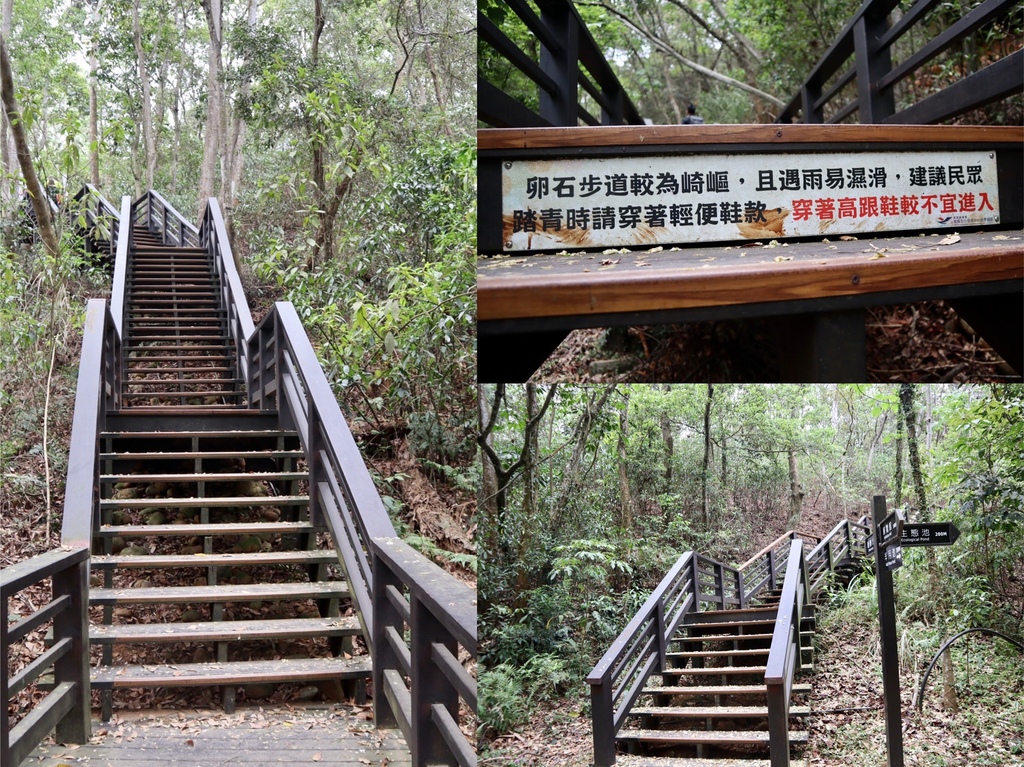 苗栗銅鑼景點-到好客公園欣賞油桐花！來趟白色浪漫的苗栗一日遊