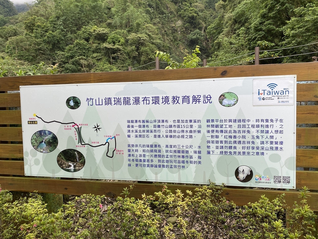 南投竹山景點-跟著丁小羽一起去瑞龍瀑布，走訪的瑞龍吊橋、桂竹林棧道