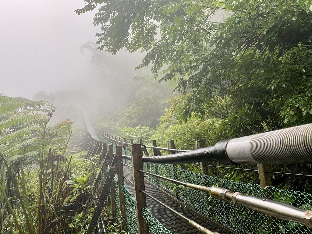 嘉義梅山景點-出發竹坑溪步道，走過巨石岩壁，欣賞龍宮瀑布及生毛樹瀑布