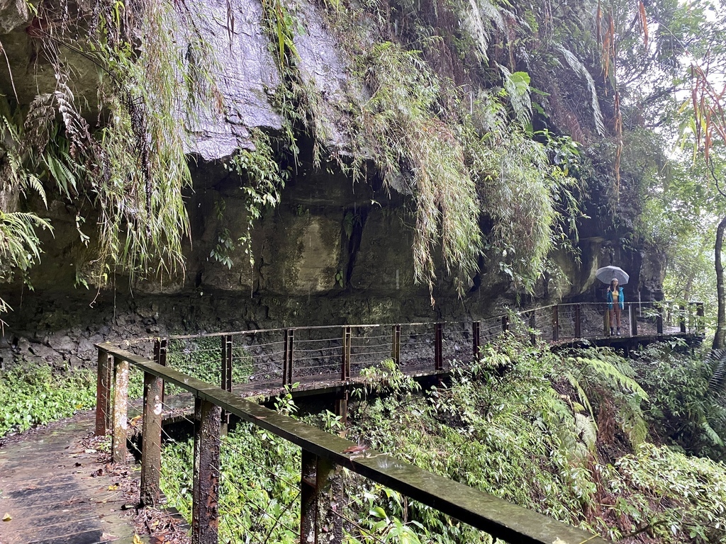 嘉義梅山景點-出發竹坑溪步道，走過巨石岩壁，欣賞龍宮瀑布及生毛樹瀑布