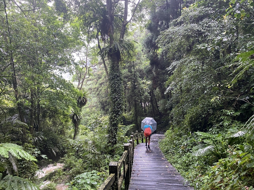 嘉義梅山景點-出發竹坑溪步道，走過巨石岩壁，欣賞龍宮瀑布及生毛樹瀑布